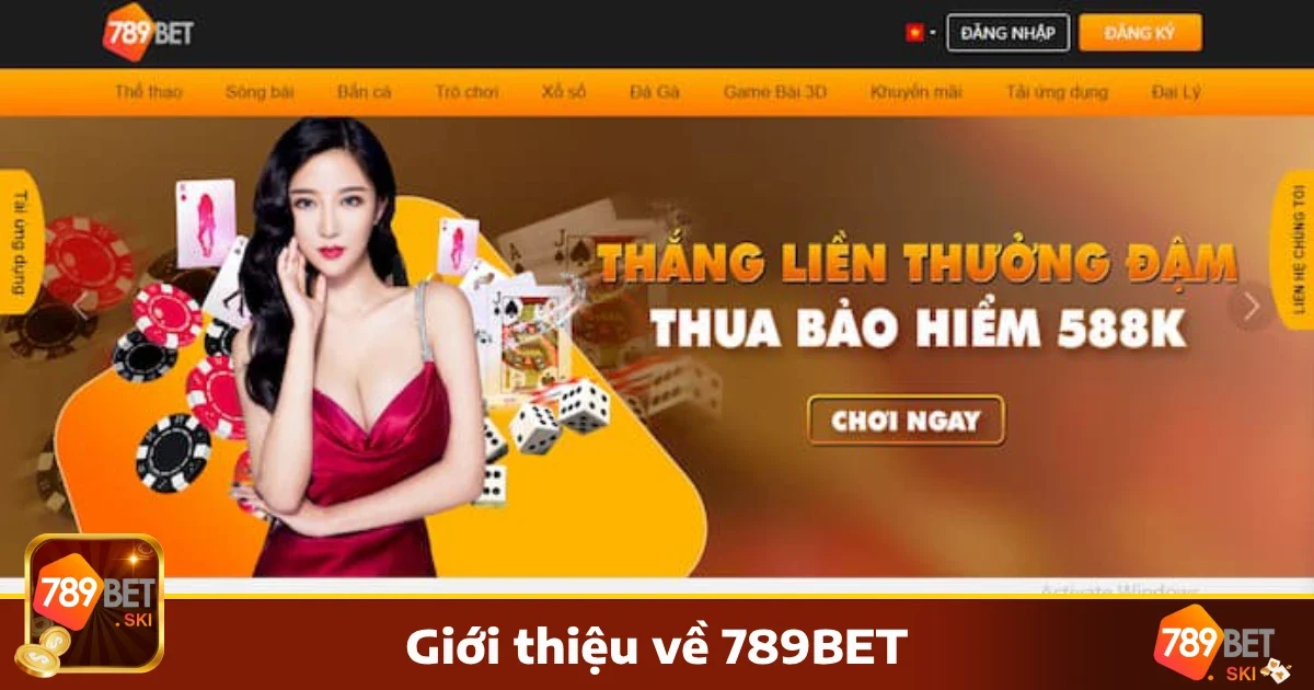 789Bet 27 Tổng Quan Về Thương Hiệu 789bet