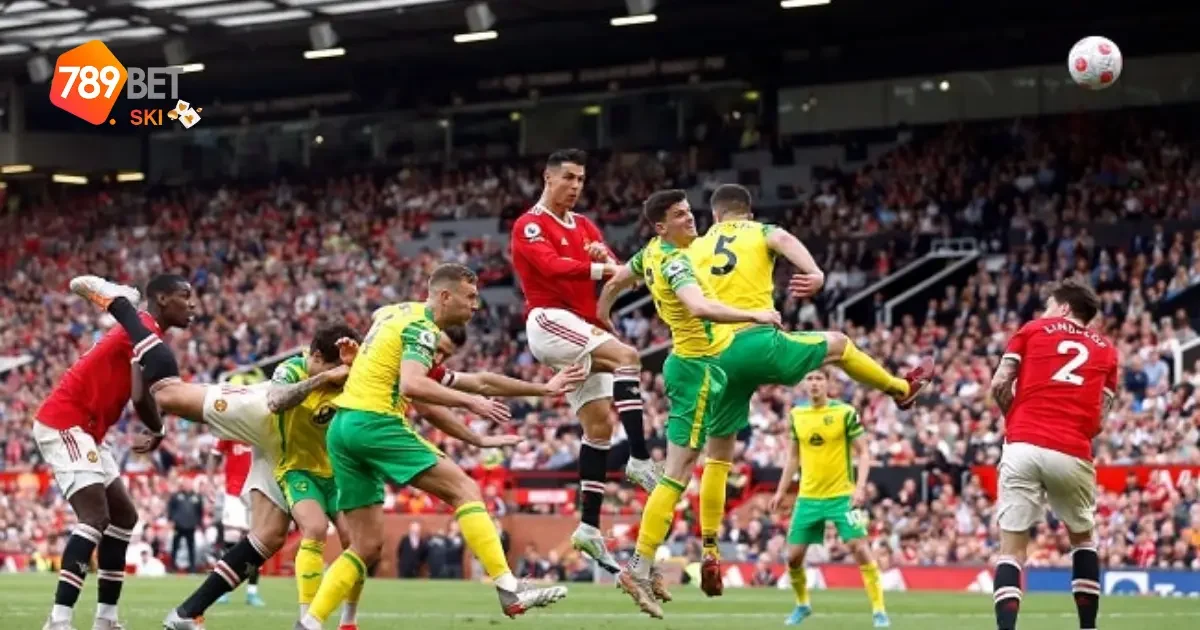 Hat Trick Là Gì? Tìm Hiểu Về Kỳ Tích Ấn Tượng Trong Bóng Đá 3 Các Loại Hat Trick