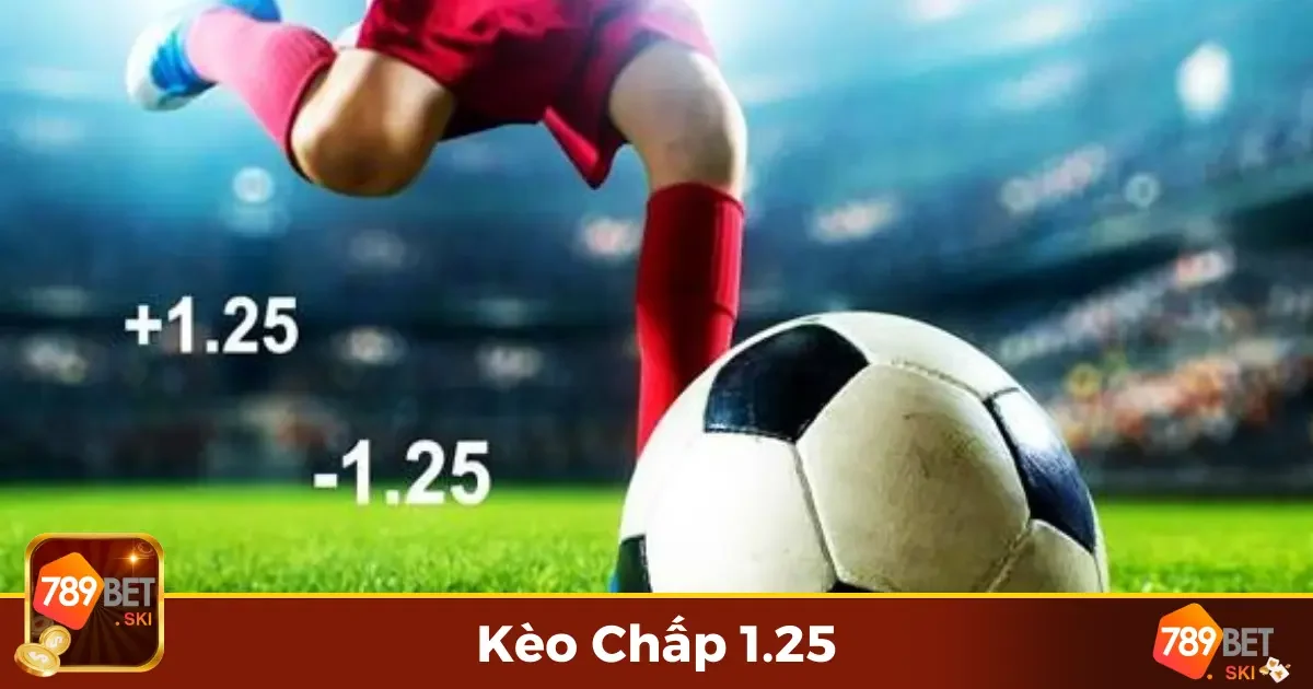 Kèo Chấp 1.25 Là Gì? Giải Thích Chi Tiết Từng Loại Kèo