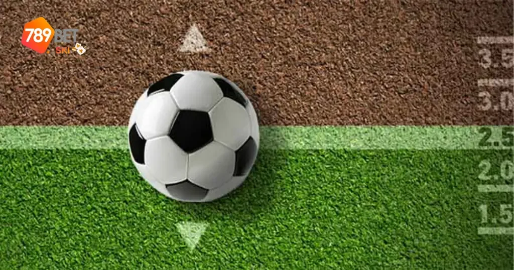 Kèo Chấp 1.75 789Bet – Bí Quyết Chơi Hiệu Quả 3 Lợi Ích Khi Chọn Kèo Chấp 1.75