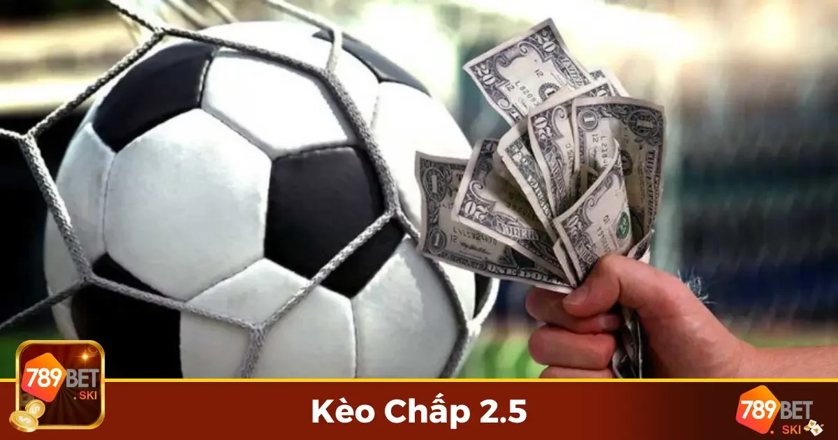 Kèo Chấp 2.5 Là Gì? Phân Tích Luật Chơi Và Cách Đặt Cược