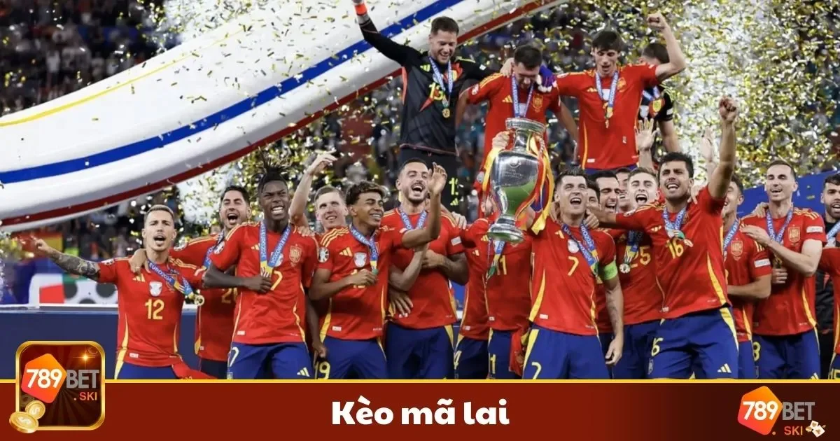 Kèo Mã Lai Là Gì? Hướng Dẫn Đặt Cược & Cách Chơi 1 Cách Đọc Kèo Mã Lai & Khi Nào Nên Chơi