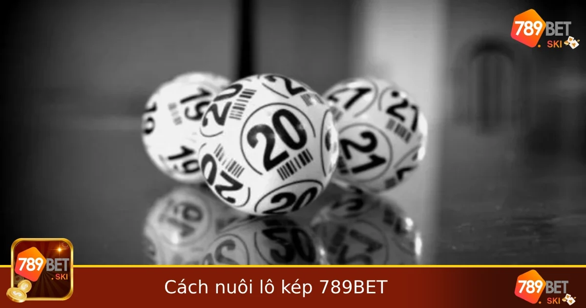 Cách nuôi lô kép hiệu quả – Bí kíp từ dân chơi 789bet