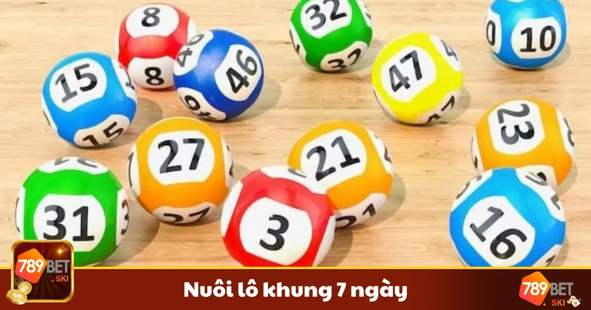Nuôi lô khung 7 ngày được nhiều người yêu thích