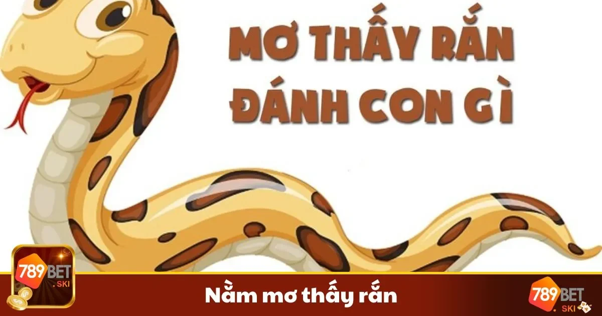 Giải mã giấc mơ về rắn