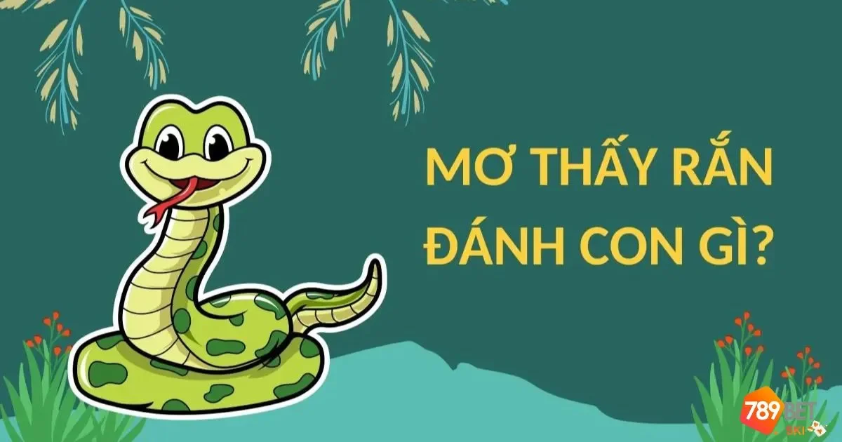 Nằm Mơ Thấy Rắn Đánh Số Gì? Giải Mã Giấc Mơ Cùng 789BET 4 Mơ thấy rắn đánh lô hay đánh đề