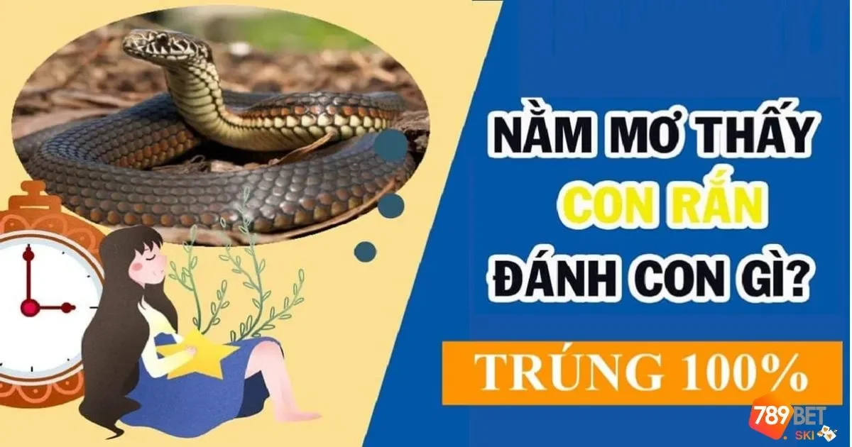 Nằm Mơ Thấy Rắn Đánh Số Gì? Giải Mã Giấc Mơ Cùng 789BET 3 Rắn hổ mang cực nổi tiếng trong mơ